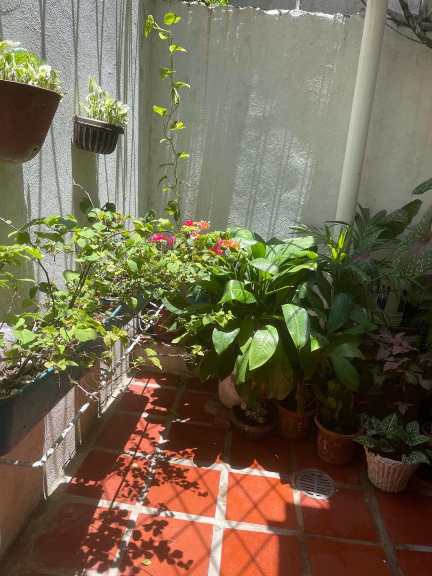 Homestay Casa Vilmar Getsemani